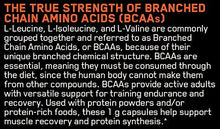 Bcaa Capsules 1000Mg 400 Count