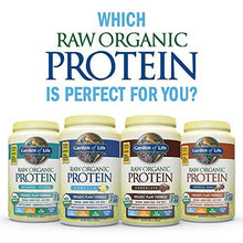 Organic Vegan Protein Powder With Vitamins And Probiotics Raw Organic Plant Based Protein Shake Sugar Free Vanilla 22.0Oz 1 Lb 6 Oz / 624G Powder