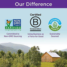 Zyflamend Whole Body Joint Supplement Herbal Pain Reliever For Inflammation Response 180 Ct