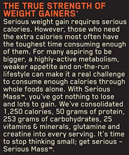 Serious Mass Gainer Protein Powder Chocolate Peanut Butter 6 Pound