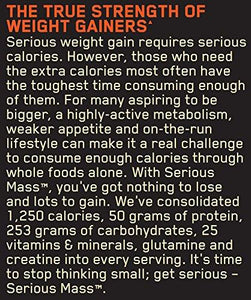Serious Mass Gainer Protein Powder Chocolate Peanut Butter 6 Pound