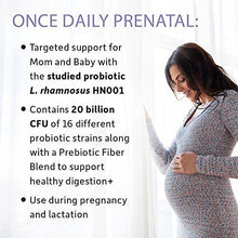 Prenatal Probiotic For Dr. Formulated Once Daily Prenatal For Digestive And Gut Health Shelf Stable 30 Capsules