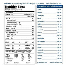 Organic Vegan Protein Powder With Vitamins And Probiotics Raw Organic Plant Based Protein Shake Sugar Free Vanilla 22.0Oz 1 Lb 6 Oz / 624G Powder