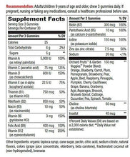 Alive! Premium Formula Multivitamin Adult Gummies 90 Count