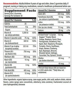 Alive! Premium Formula Multivitamin Adult Gummies 90 Count
