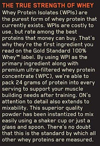 Gold Standard Whey Protein Powder Double Rich Chocolate 2 Pound