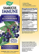 Sambucus Elderberry Immune Syrup 8 Ounce