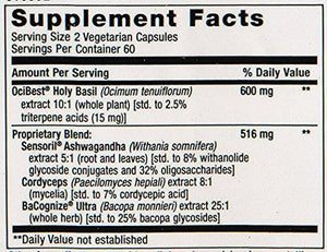 Adrenal Energy Formula Vegetarian Capsules 120 Count