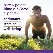 Rhodiola Force 300Mg With Potent Rhodiola For Endurance + Mood Support + Stress Adaptogen + NonGmo Ingredients 30 Ct Vegetarian Capsules