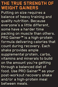 Pro Gainer Protein Powder Banana Cream Pie 5.09 Pounds