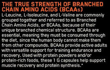 Bcaa Capsules 1G 60 Count